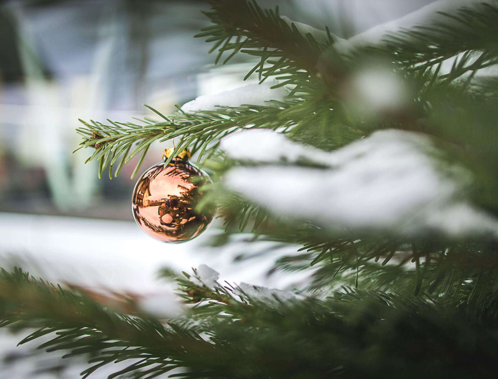 Un gingillo di Natale appeso all'albero - Hotel Fameli